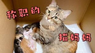 向死而生二狗最新爆料